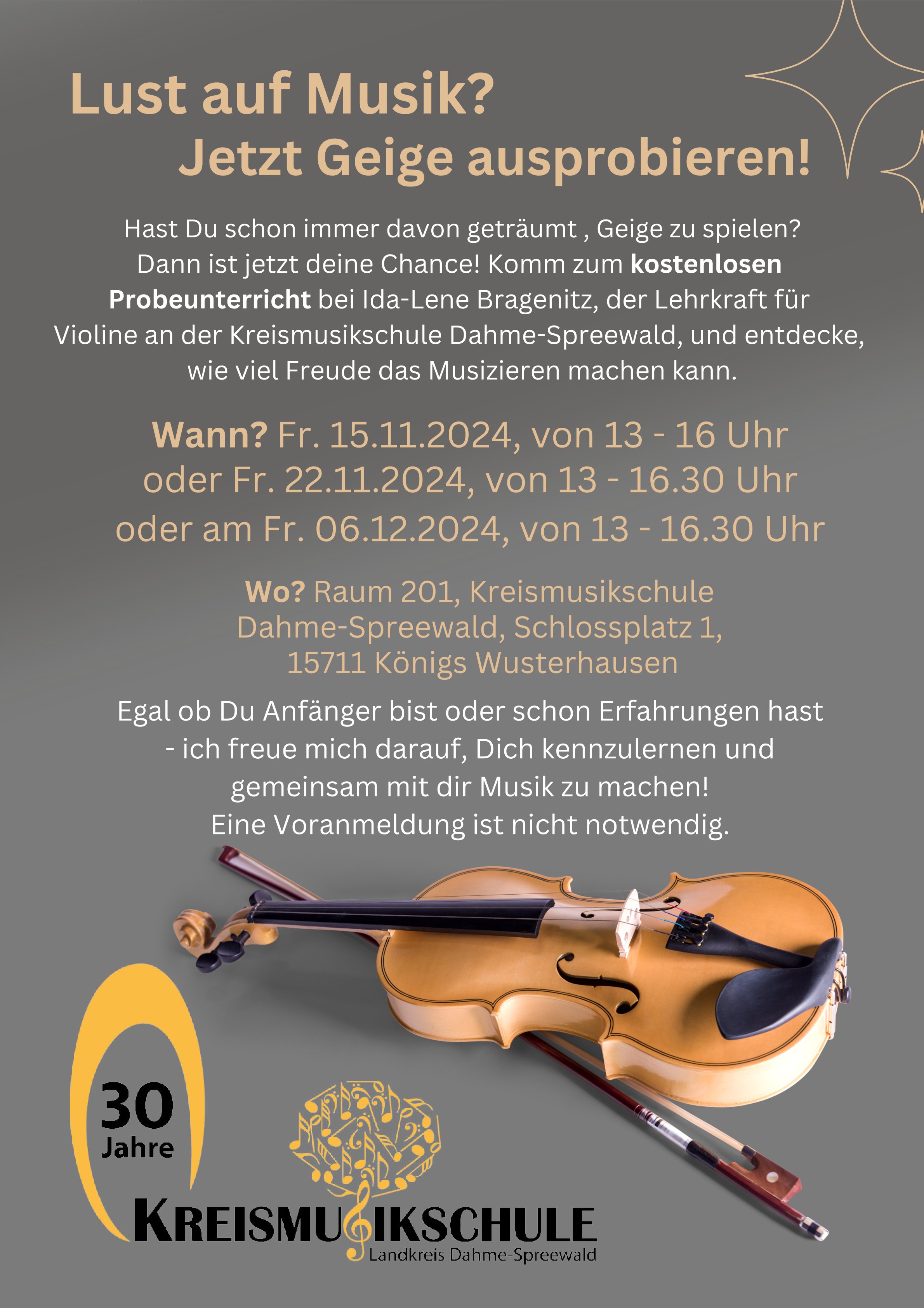 Lust auf Violine 2